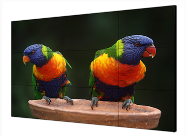 顯示與控制系列